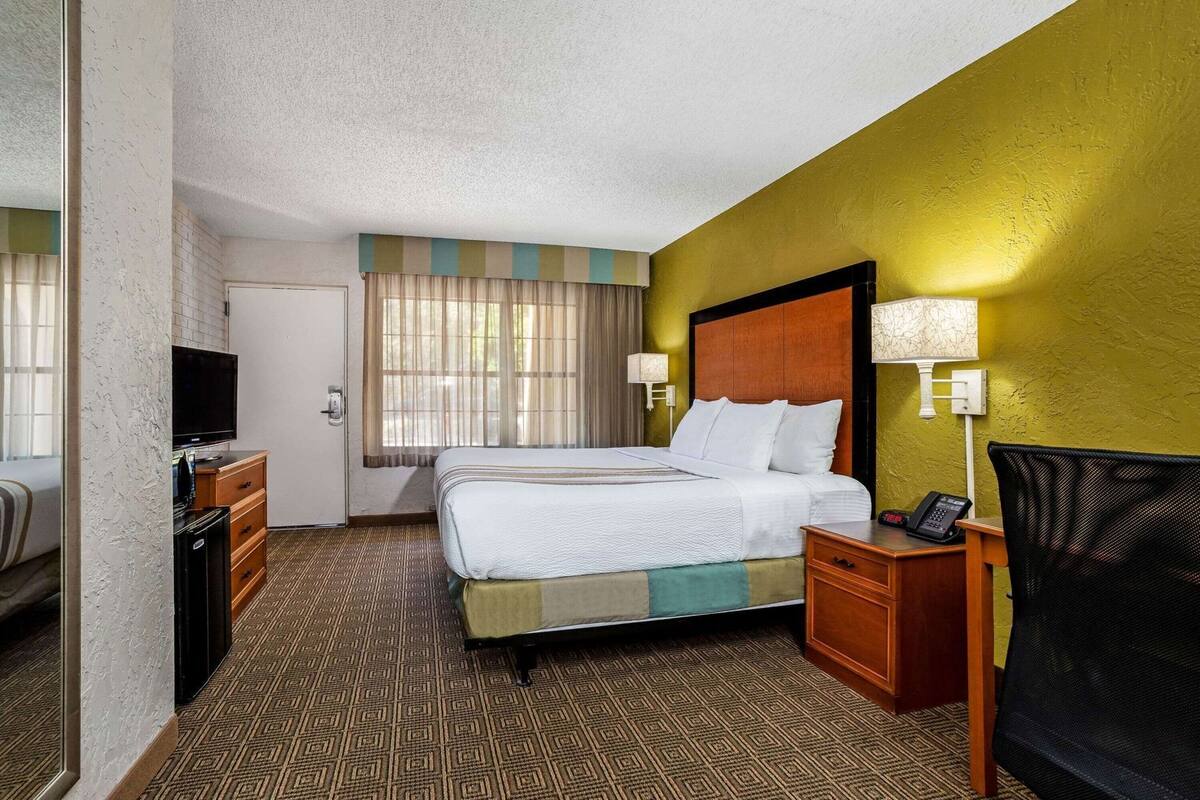 Habitación de hotel con cama, escritorio, silla, televisor y ventana con cortinas.