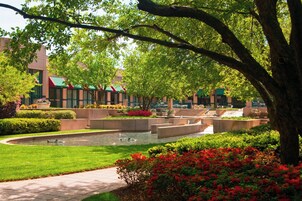 Vista desde la propiedad