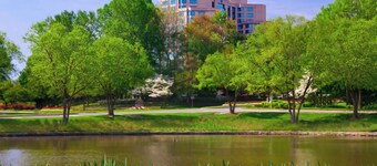 Falls Church Marriott Fairview Park