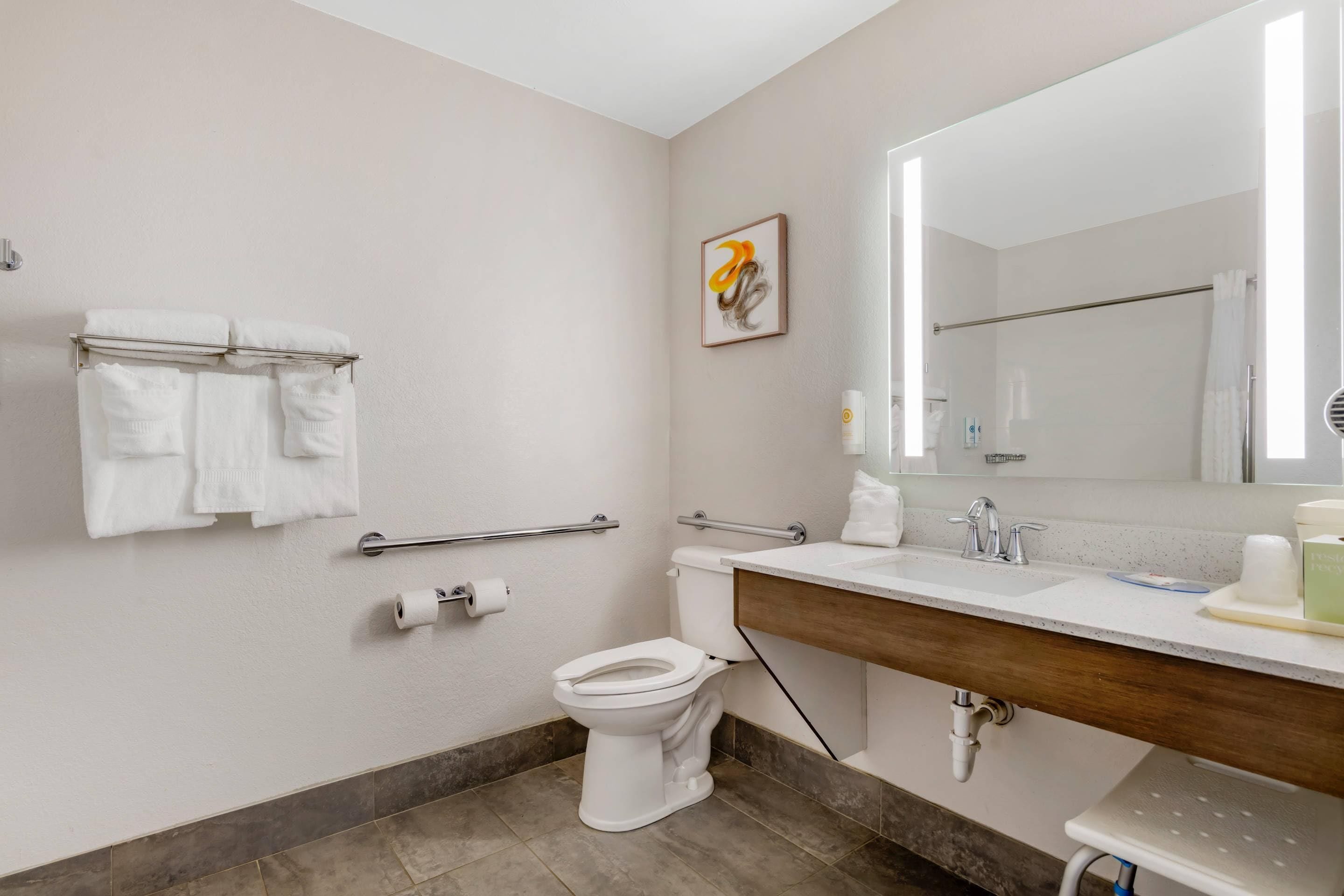 A modern bathroom with a toilet, sink, and mirror. There are towels on a rack, a handrail, and a picture on the wall.