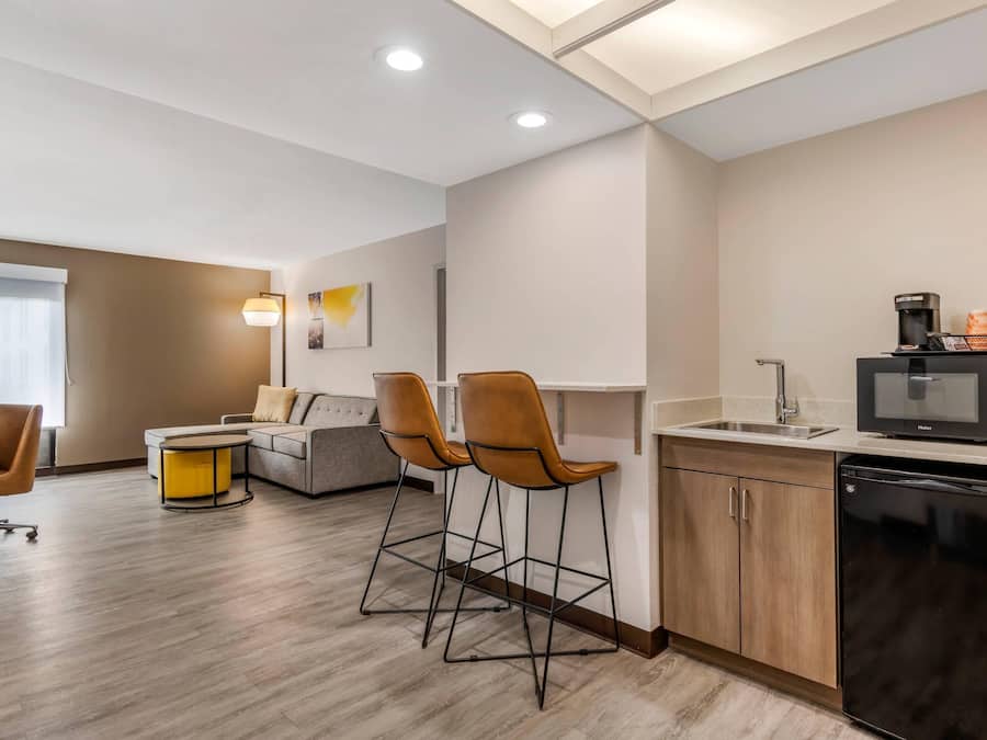 Suite, 1 King Bed with Sofa bed, Non Smoking (Efficiency)