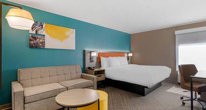 Comfort Inn & Suites Clemson - University Area