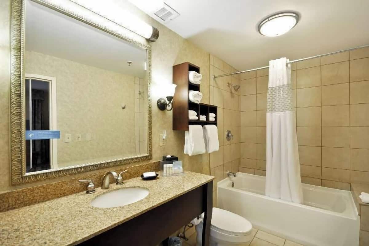 Bañera con ducha, artículos de tocador gratuitos, secador de pelo