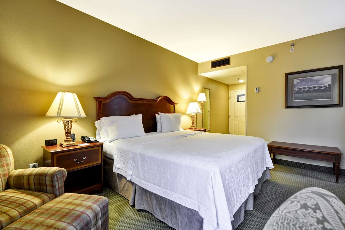 Cortinas blackout, tabla de planchar con plancha y cunas gratuitas