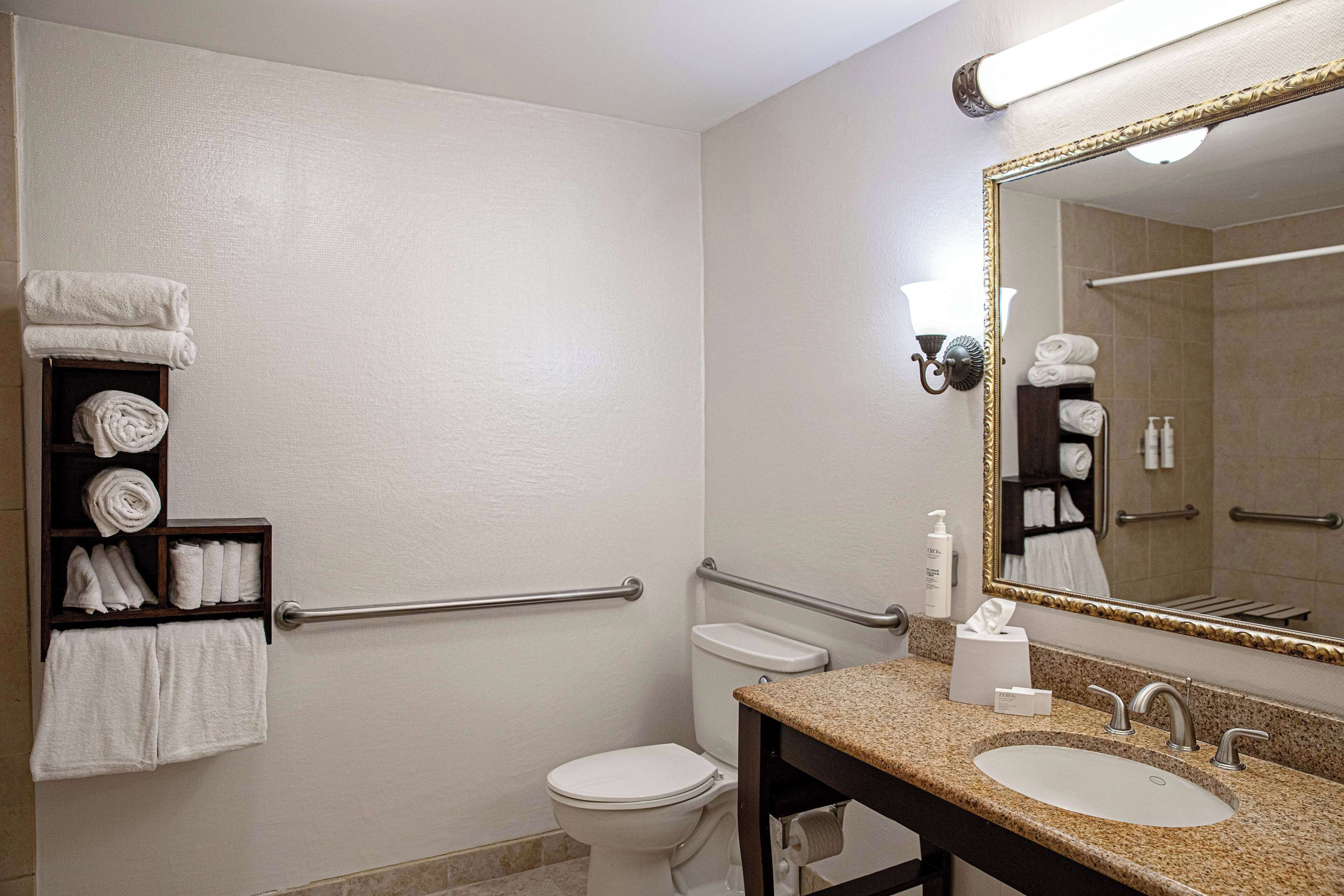 room, 1 king bed, accessible | bathroom | combined shower/bathtub, free toiletries, hair dryer, towels