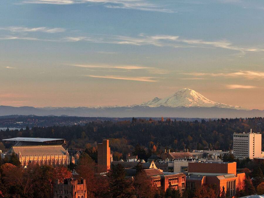 A cityscape with a prominent mountain in the background, surrounded by autumn-colored trees and buildings.