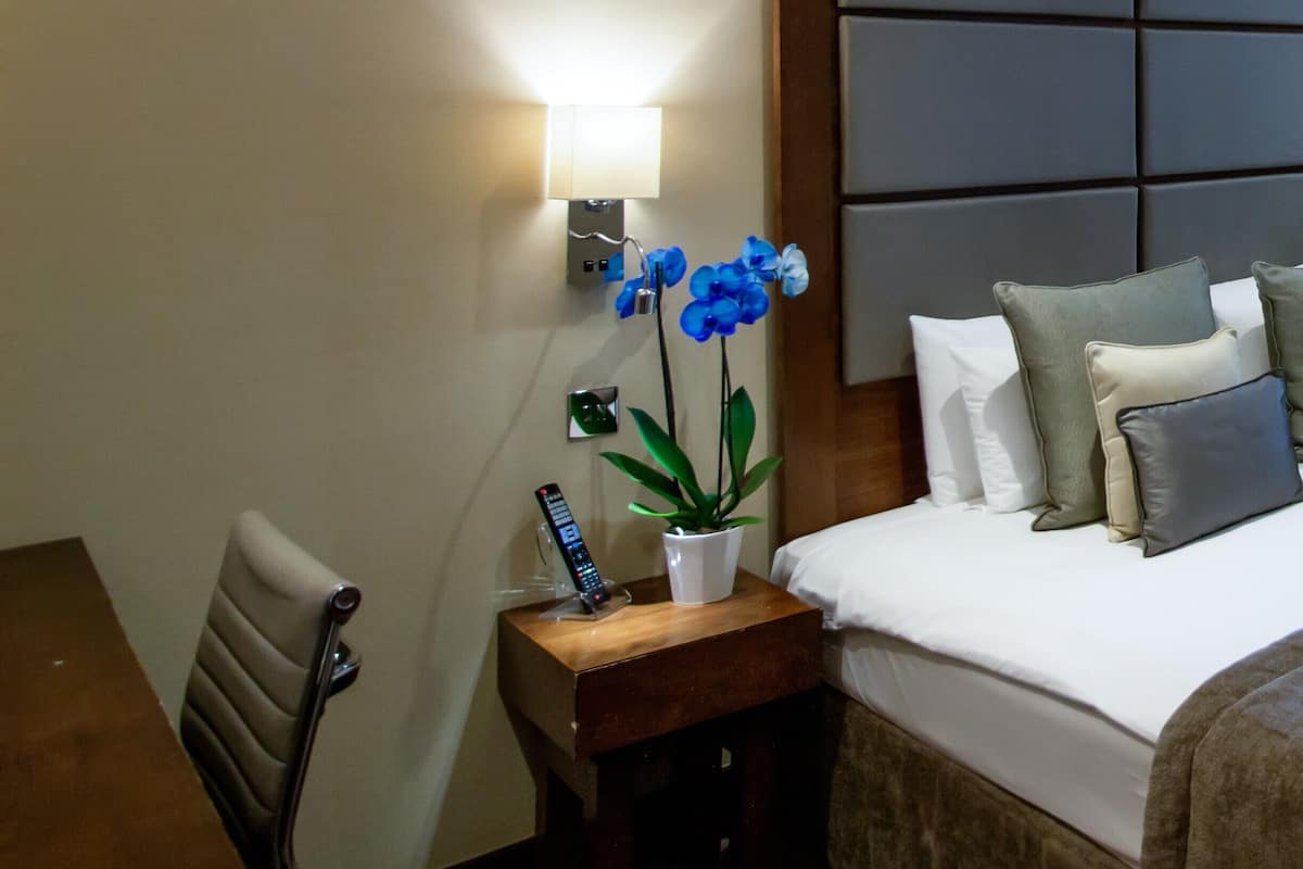 Superior Single Room