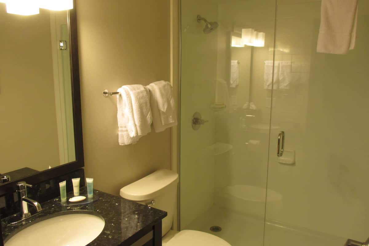 free toiletries, hair dryer, towels