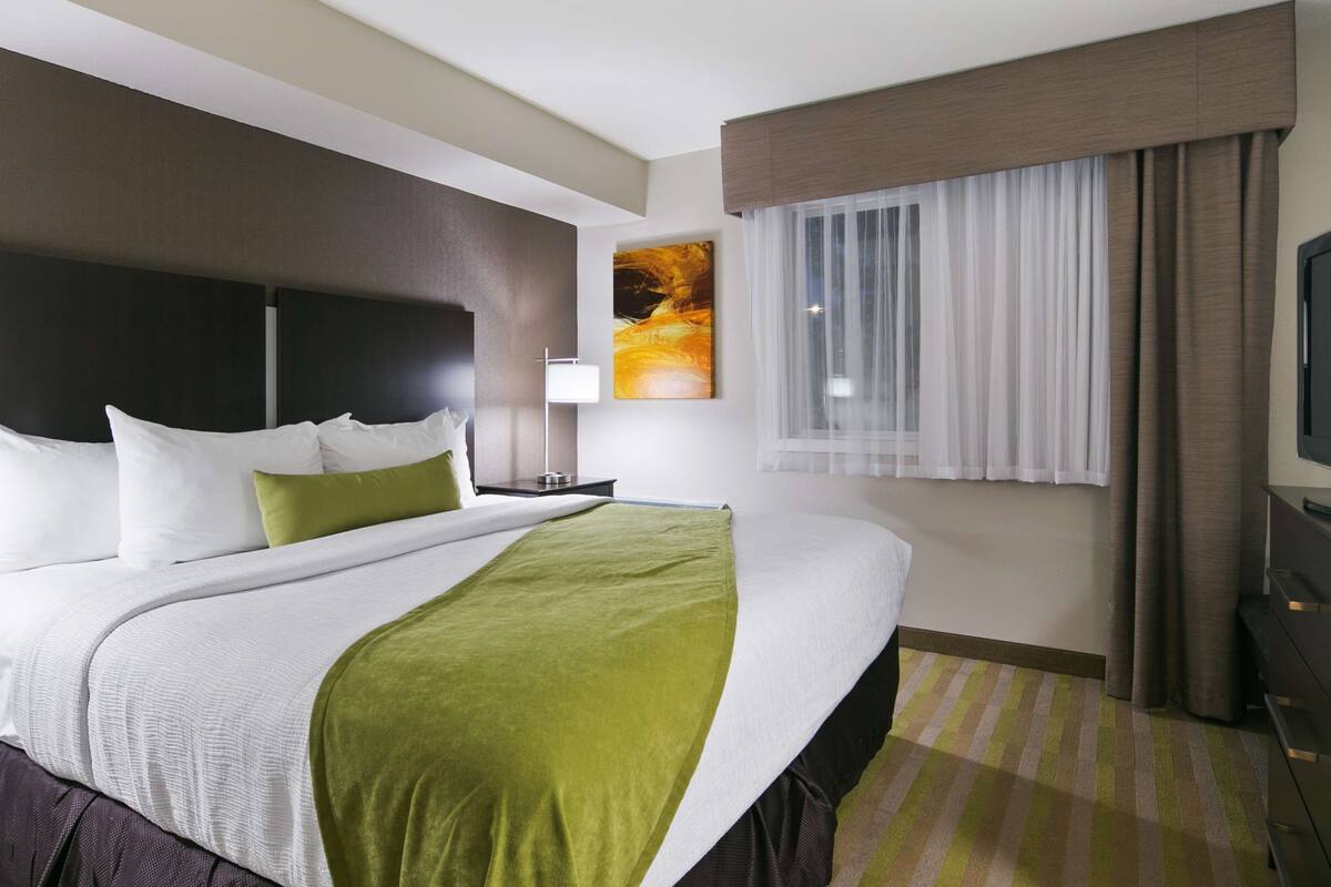 premium bedding, pillow-top beds, desk, blackout curtains