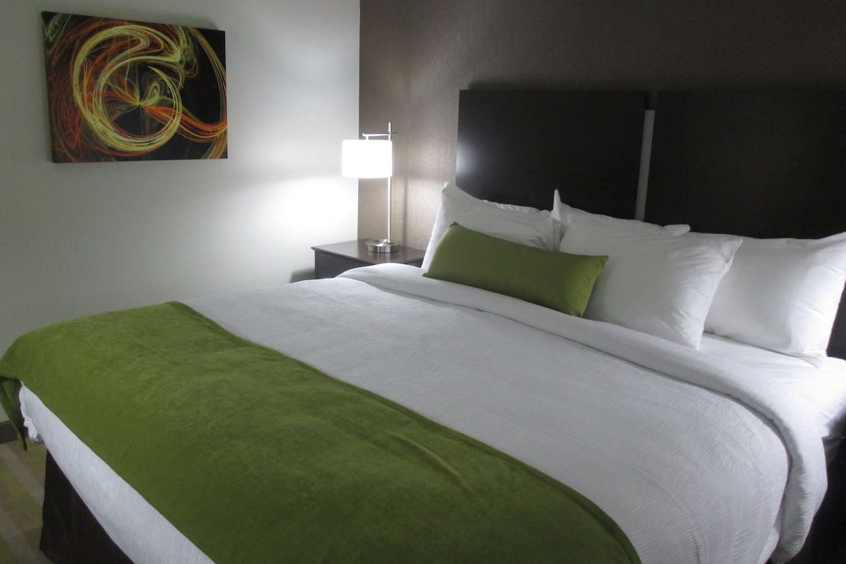 premium bedding, pillow-top beds, desk, blackout curtains