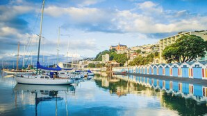 A marina with several sailboats docked, a waterfront promenade with colorful buildings, and a hill with residential structures in the background. - InterContinental Wellington by IHG (Wellington)