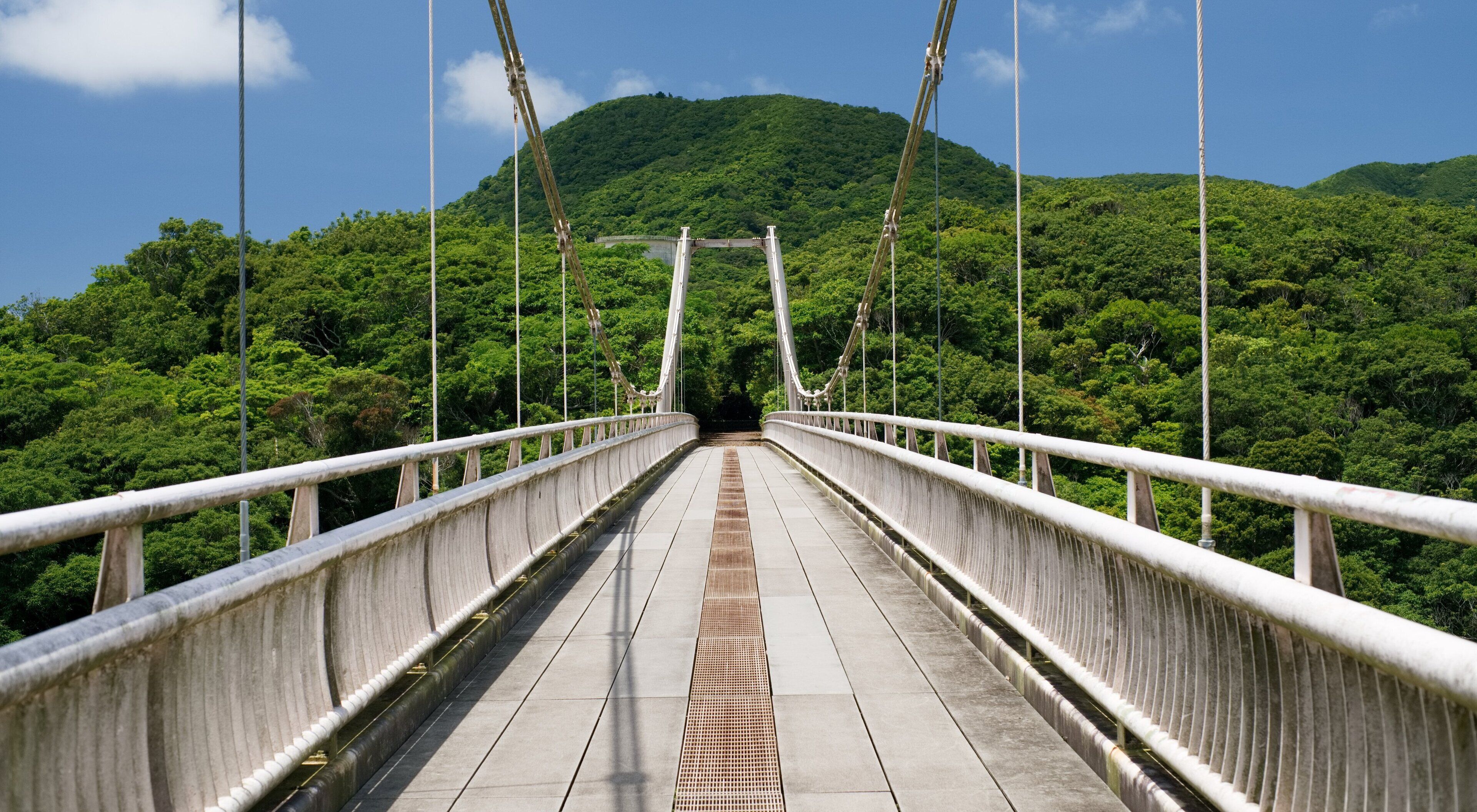 A suspension bridge with a concrete walkway and metal railings, surrounded by dense green forest and hills.