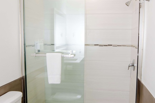 Combined shower/tub, free toiletries, towels