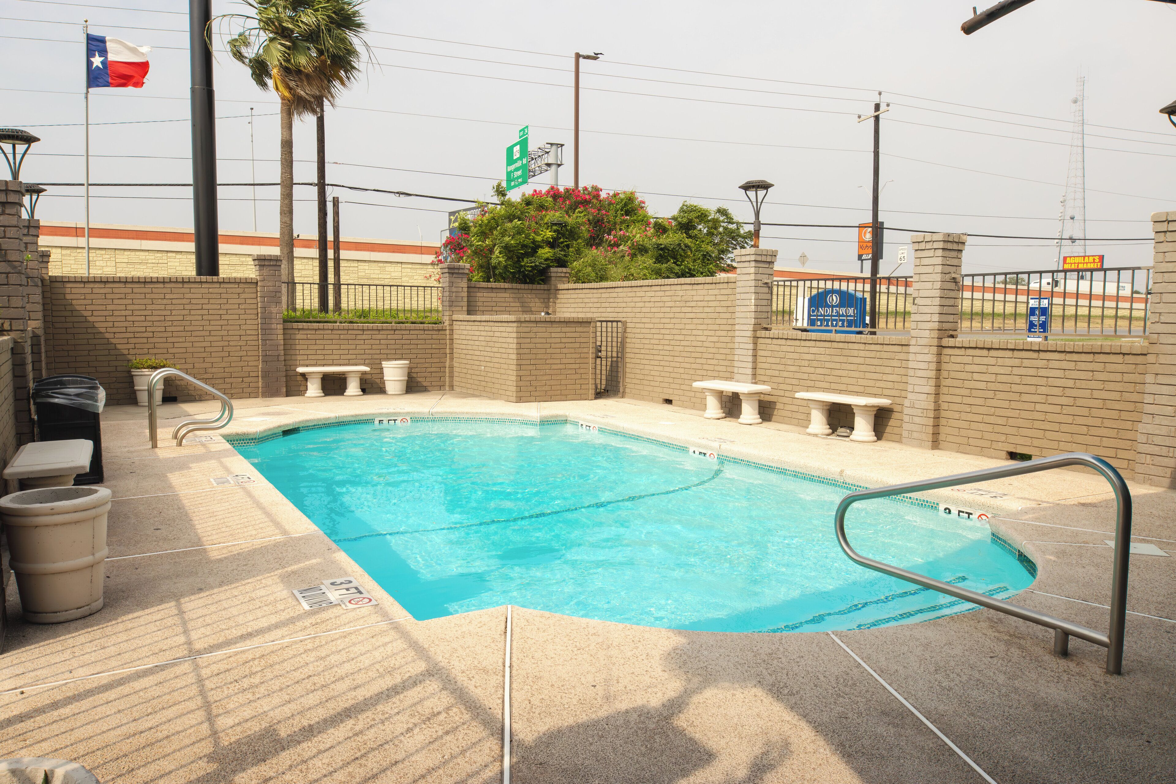 Hồ bơi
