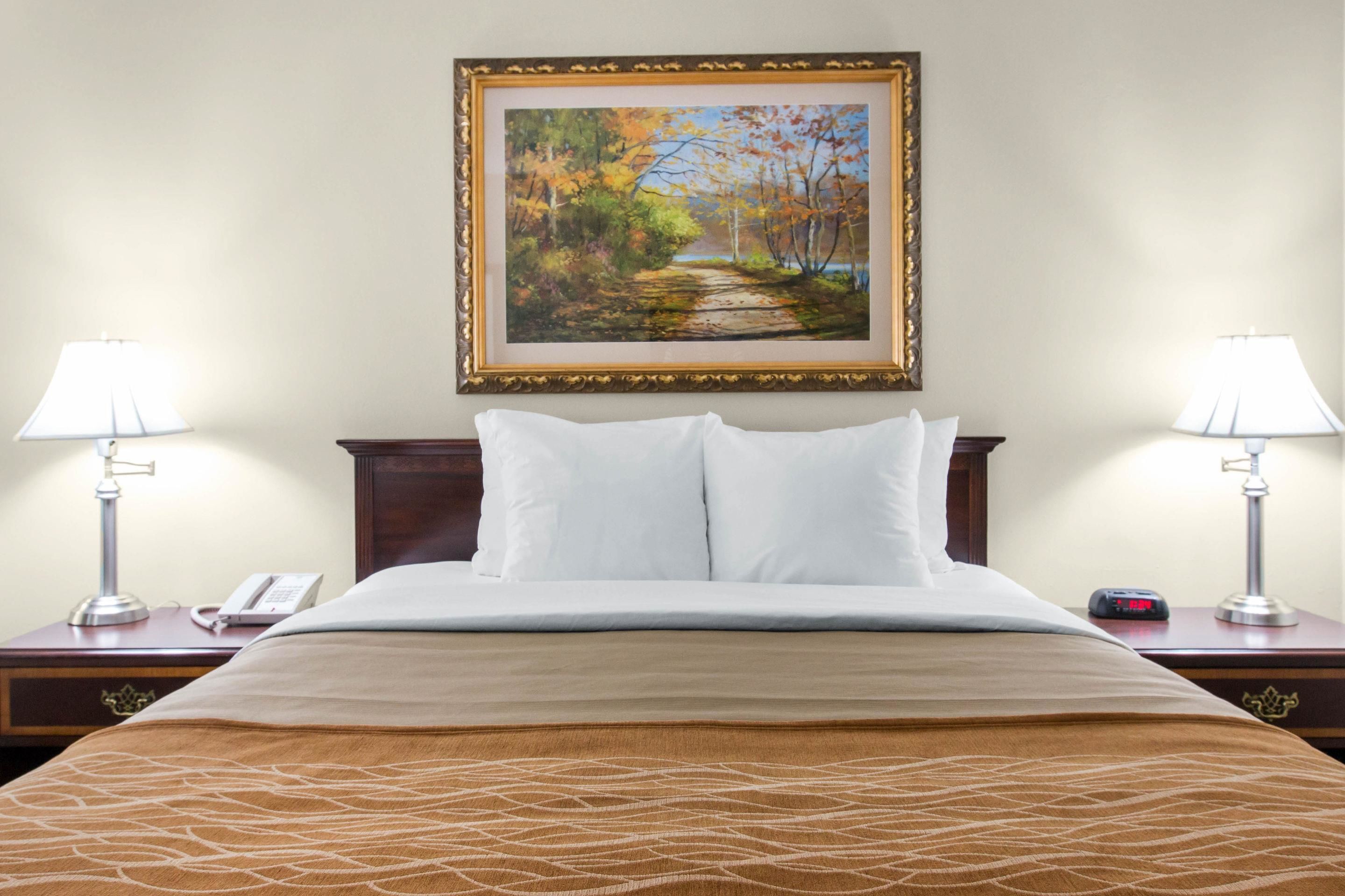 Una habitación de hotel con una cama, dos mesitas de noche con lámparas, un cuadro en la pared y un teléfono sobre una de las mesitas.