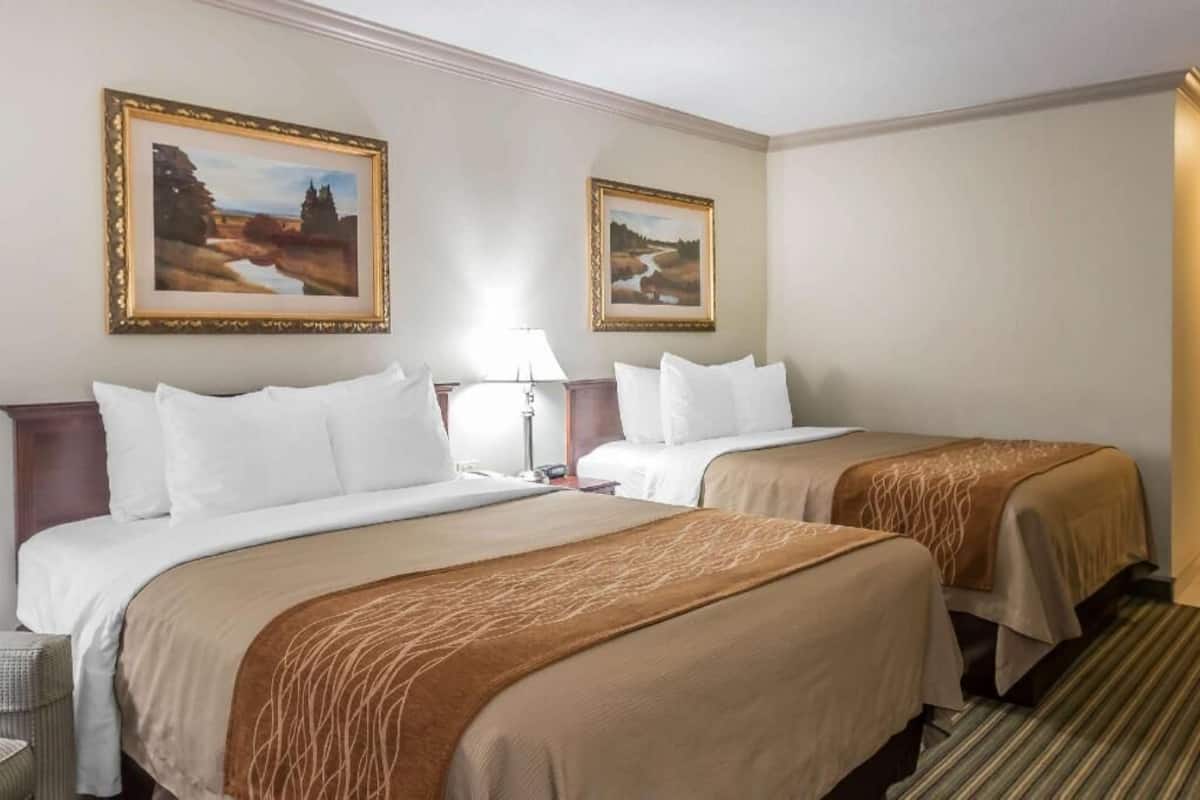 A hotel room with two beds, a nightstand, a lamp, and two framed paintings on the wall.