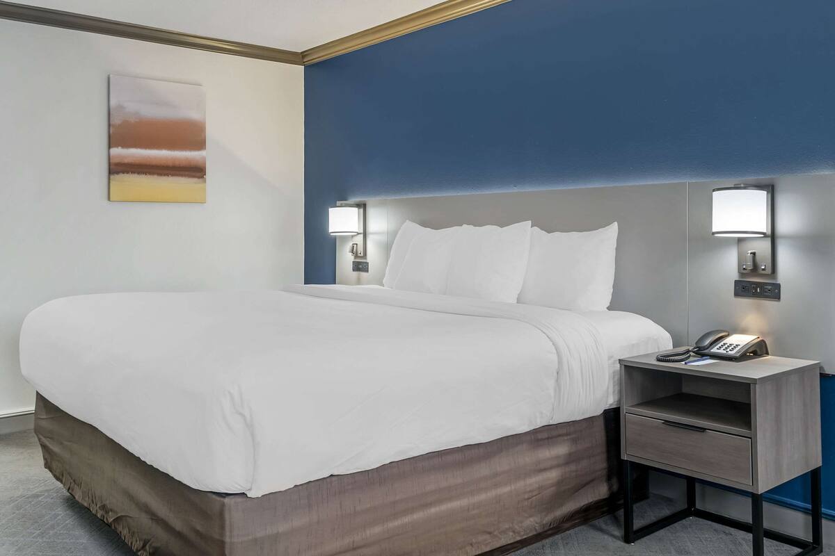 A hotel room with a large bed, a bedside table with a lamp, and a painting on the wall.