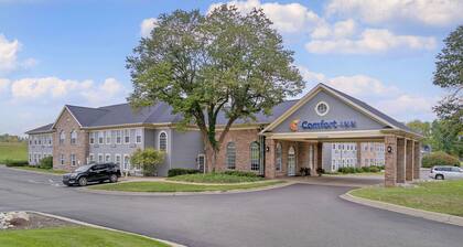 Comfort Inn Plainwell