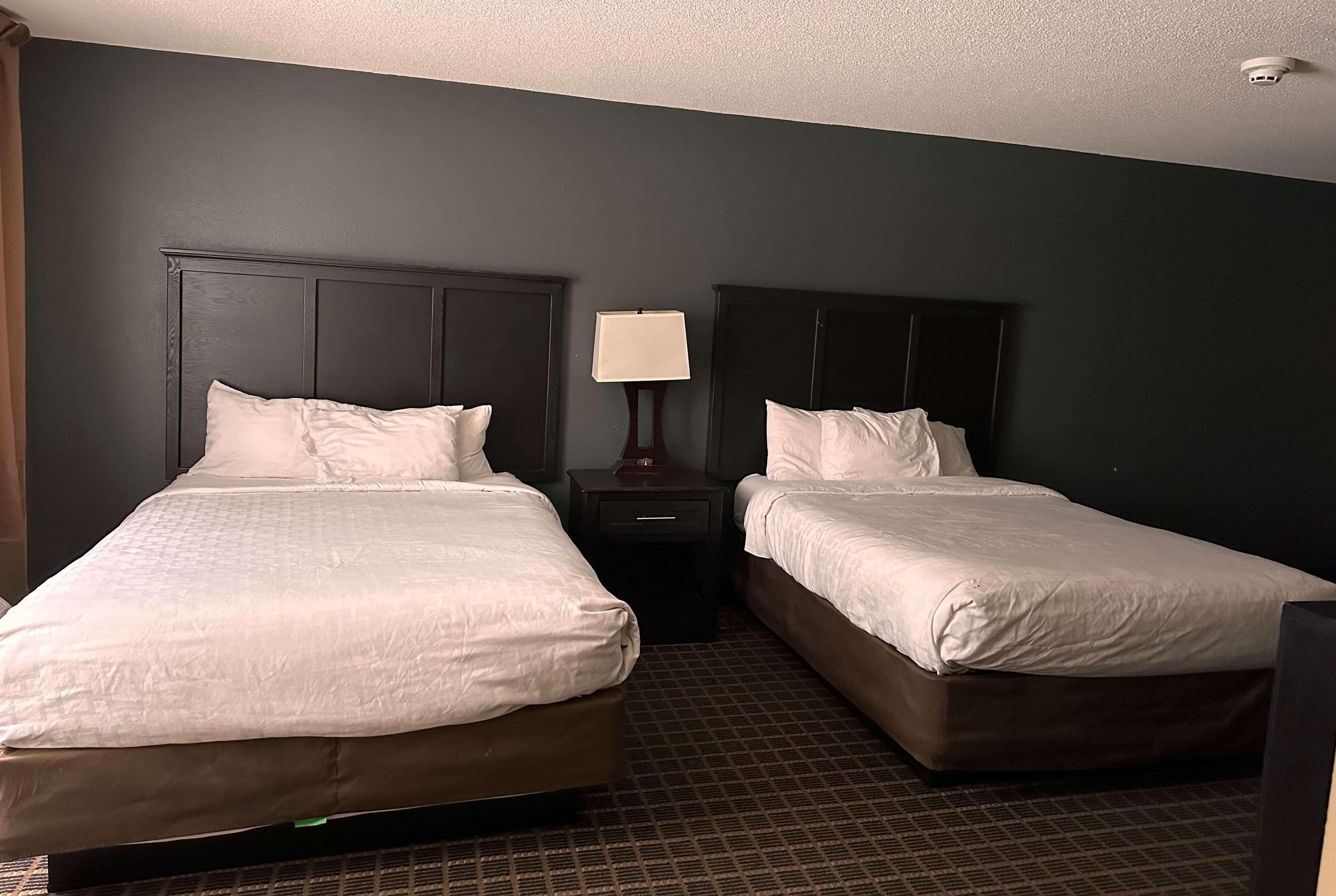 A hotel room with two beds, dark headboards, a nightstand with a lamp, and a patterned carpet.