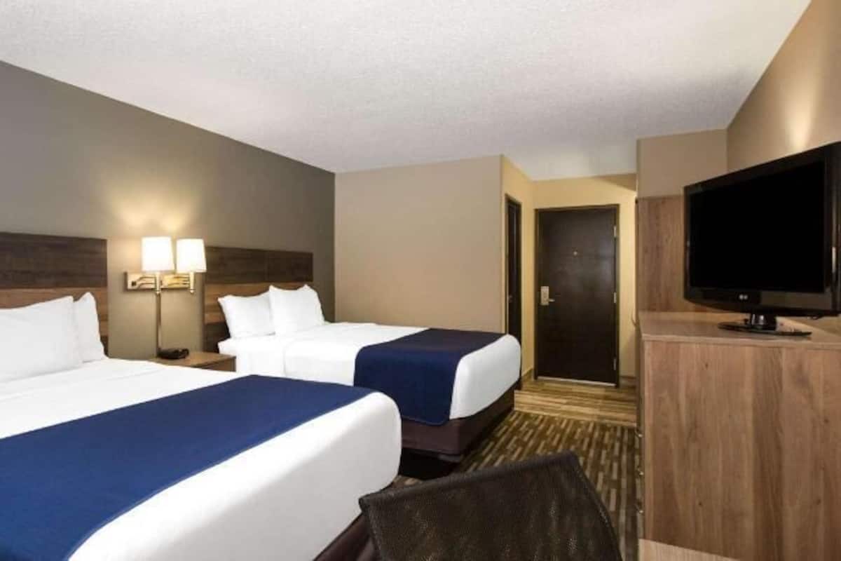 Premium bedding, blackout curtains, free cots/infant beds, free WiFi