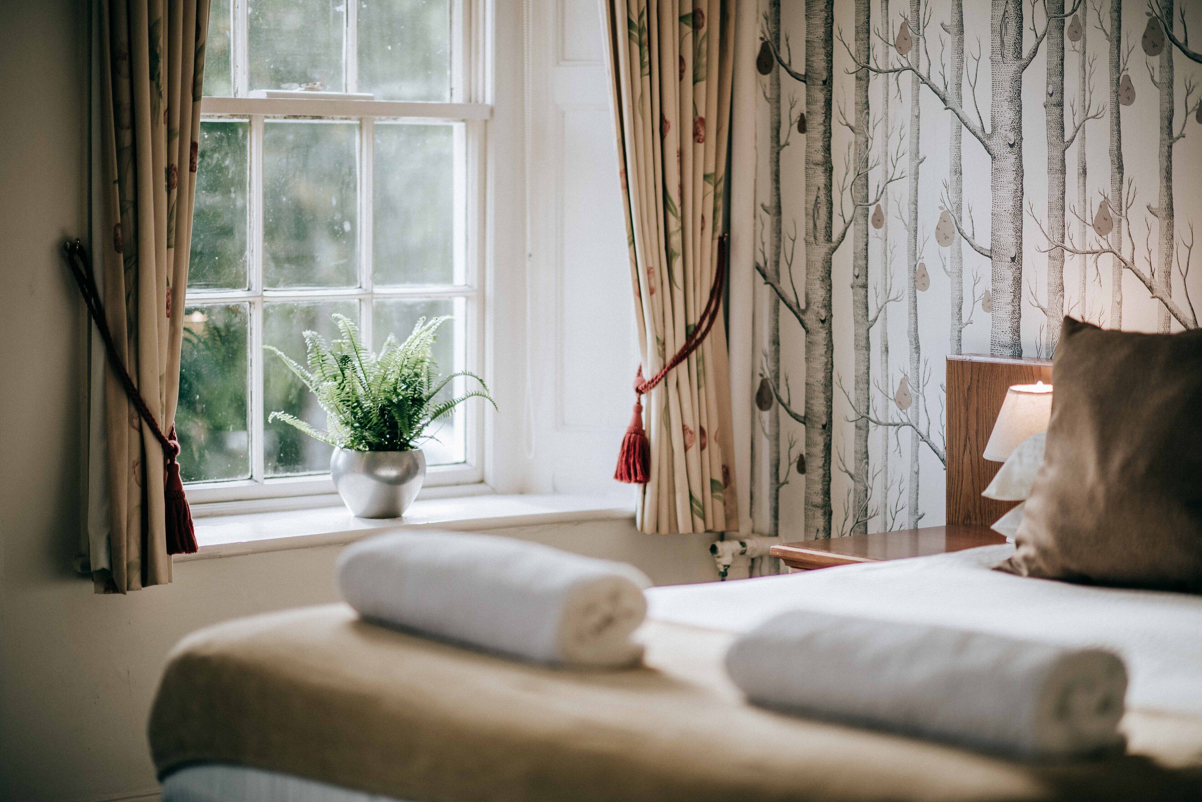 A neatly made bed with a rolled towel, a potted plant by the window, and a lamp on a bedside table.