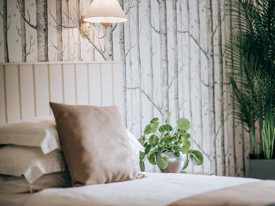 Tomannsrom – standard | Skrivebord, strykejern/-brett, wi-fi (inkludert) og sengetøy