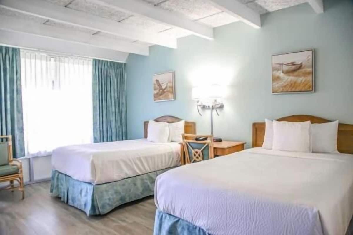 Bureau, lits pliants/supplémentaires, Wi-Fi gratuit, draps fournis