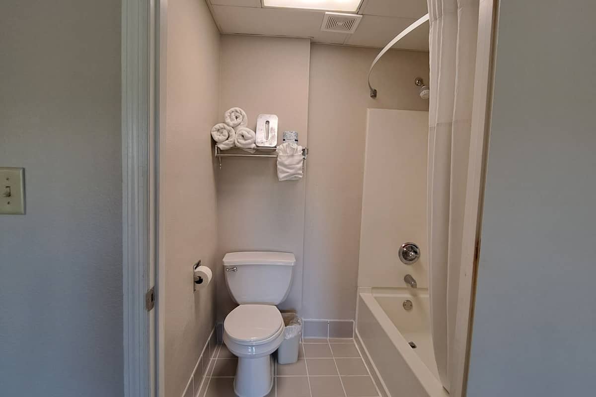 combined shower/bathtub, free toiletries, hair dryer, towels