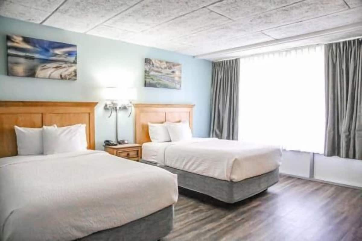Bureau, lits pliants/supplémentaires, Wi-Fi gratuit, draps fournis