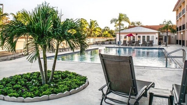 A pool area with lounge chairs, palm trees, and a building in the background.