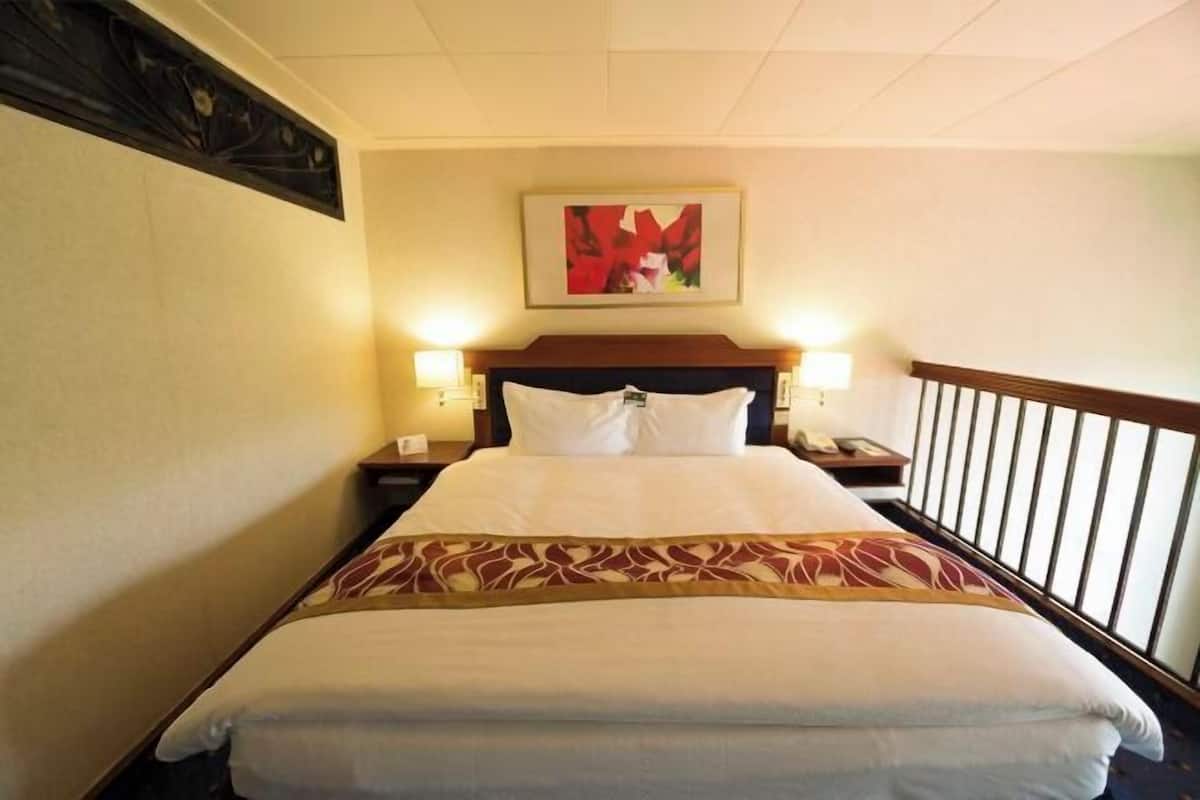 1 camera, biancheria da letto di alta qualità, minibar