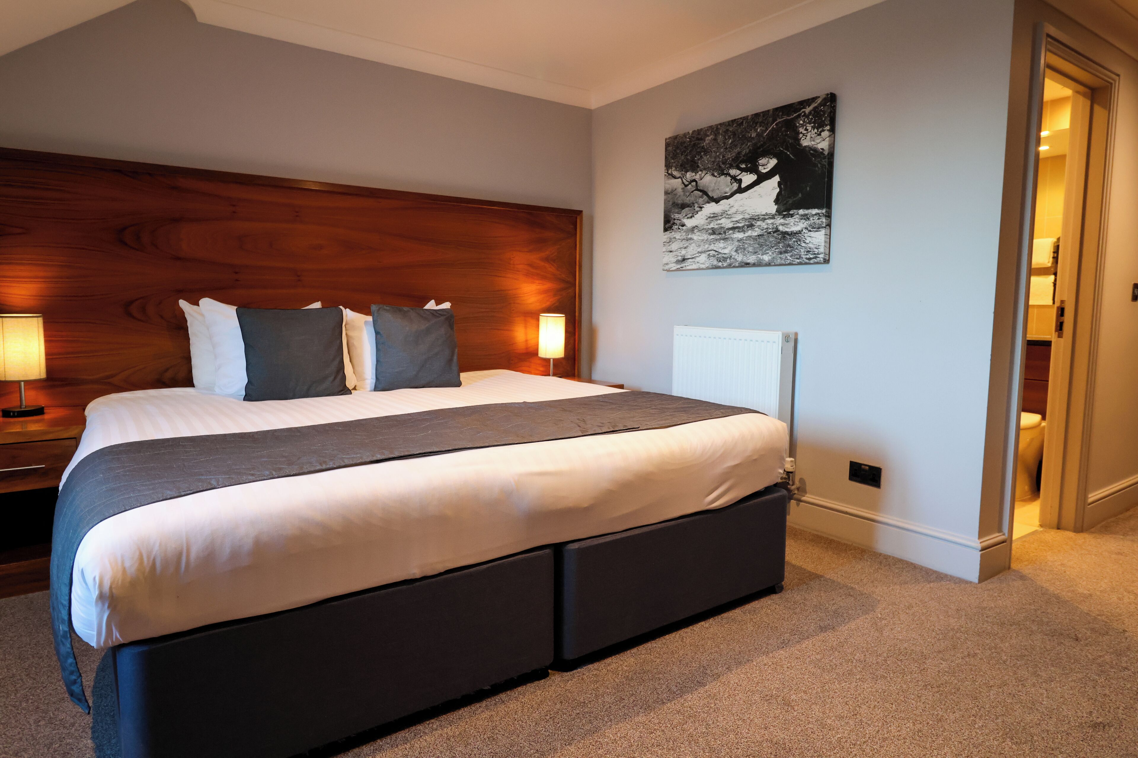 Een slaapkamer met een groot bed, nachtlampjes, een radiator en een schilderij aan de muur.