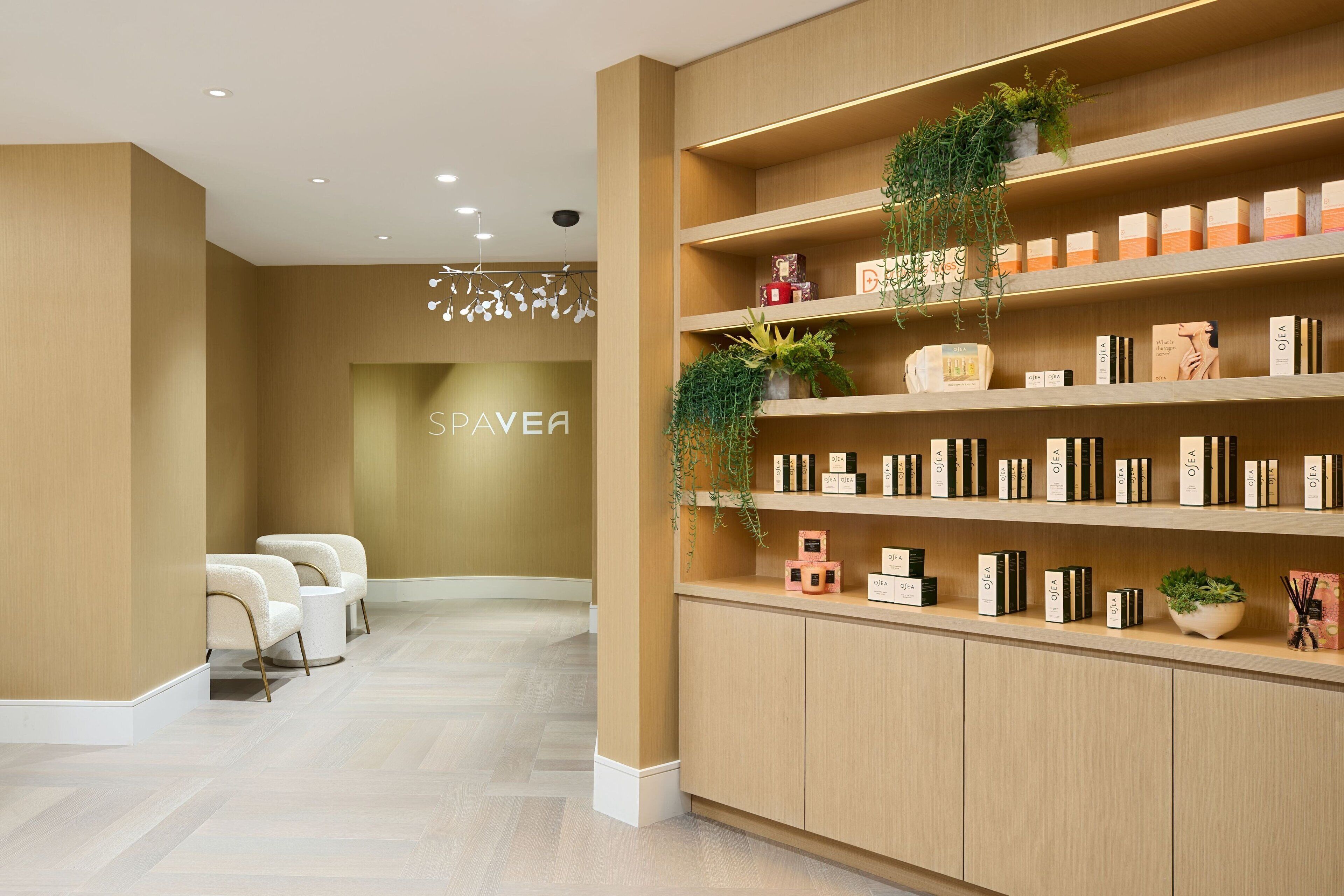 A reception area with a wooden reception desk, white chairs, and a wall-mounted plant.