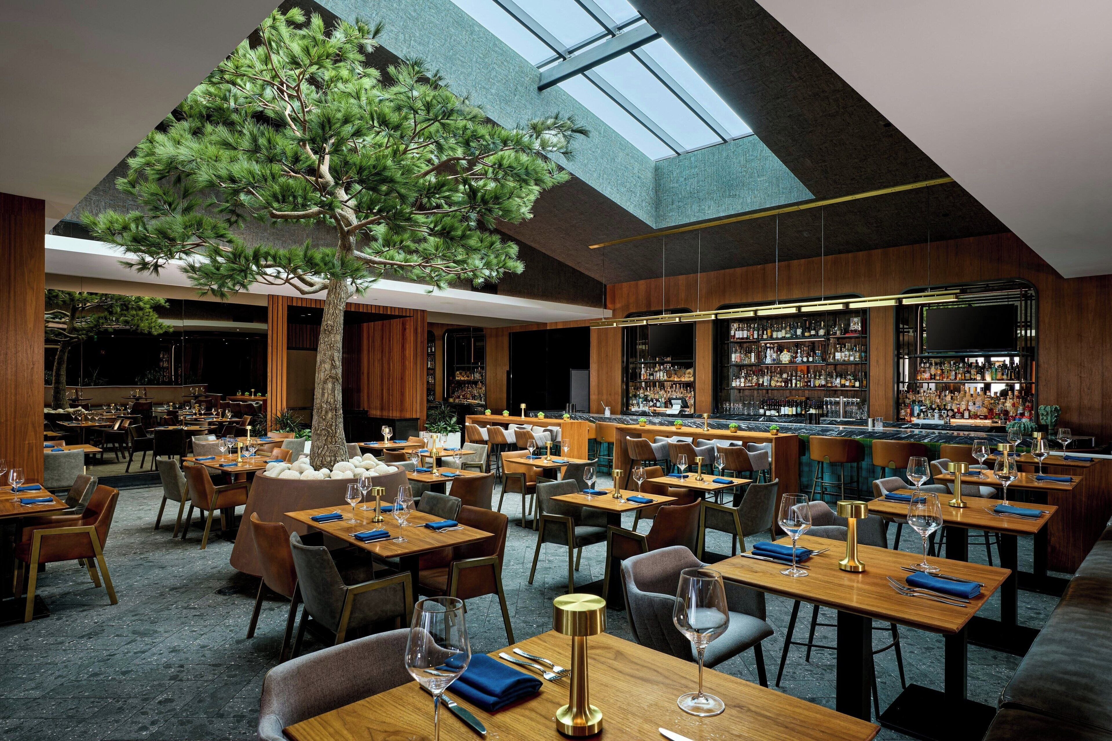 A modern restaurant with a central tree, high ceilings, and a bar area.