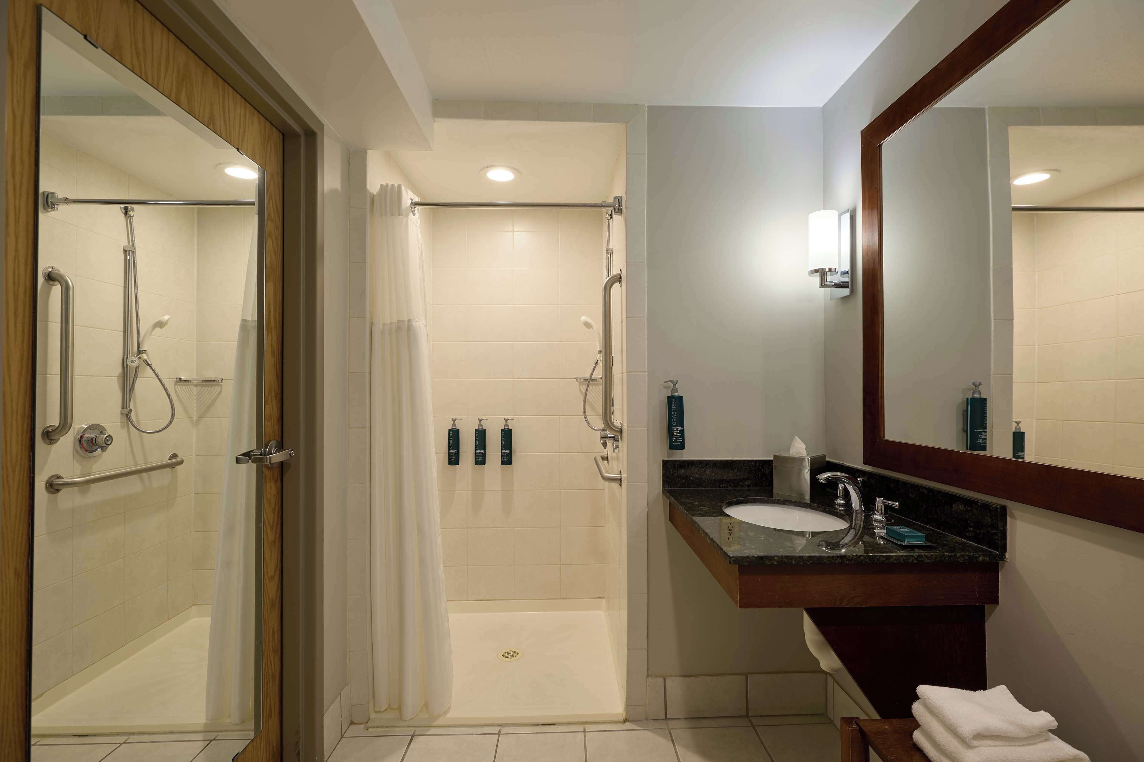 room, 1 king bed, accessible (mobility, hearing, roll-in shower) | bathroom shower
