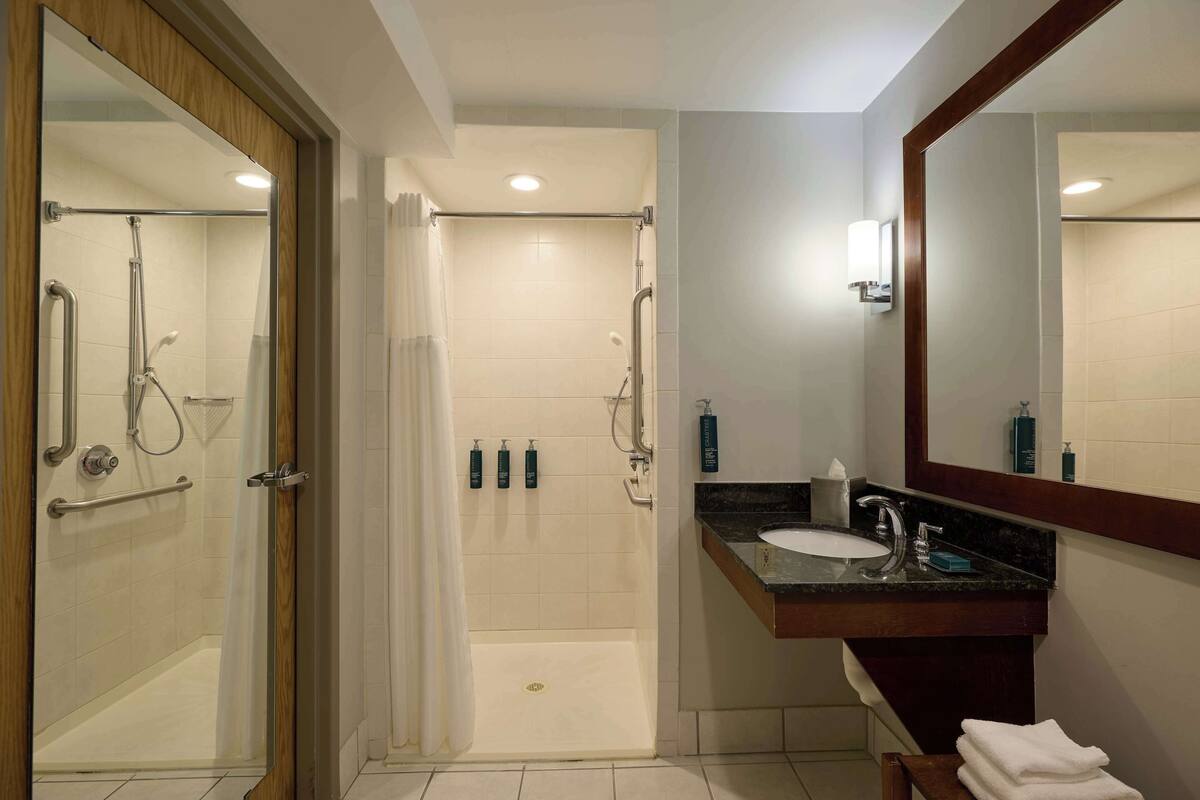 room, 1 king bed, accessible (mobility, hearing, roll-in shower) | bathroom shower