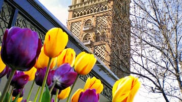 Een gebouw met een toren en een standbeeld erboven, omgeven door tulpen.