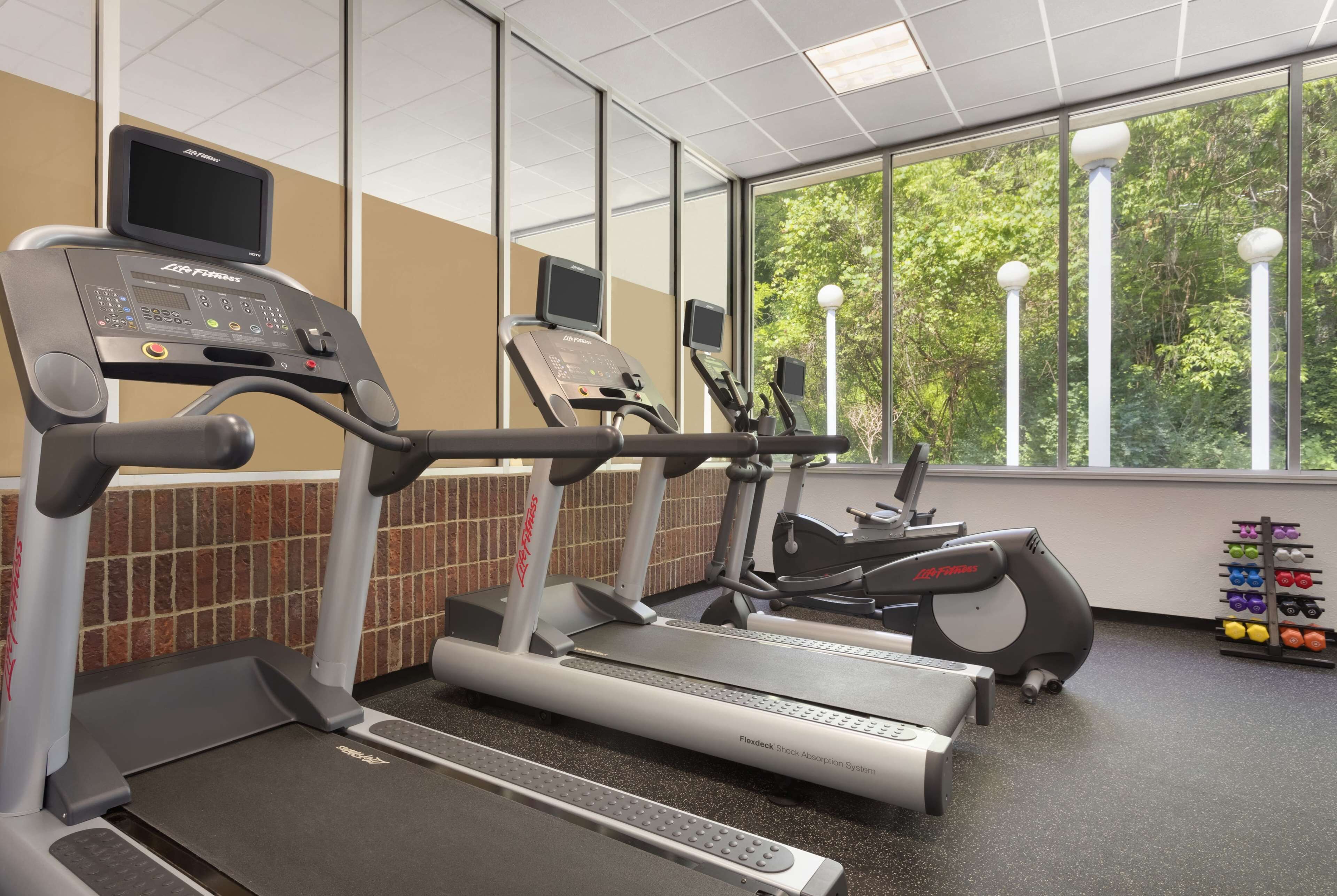 A gym with treadmills, a weight rack, and a large window with a view of trees.