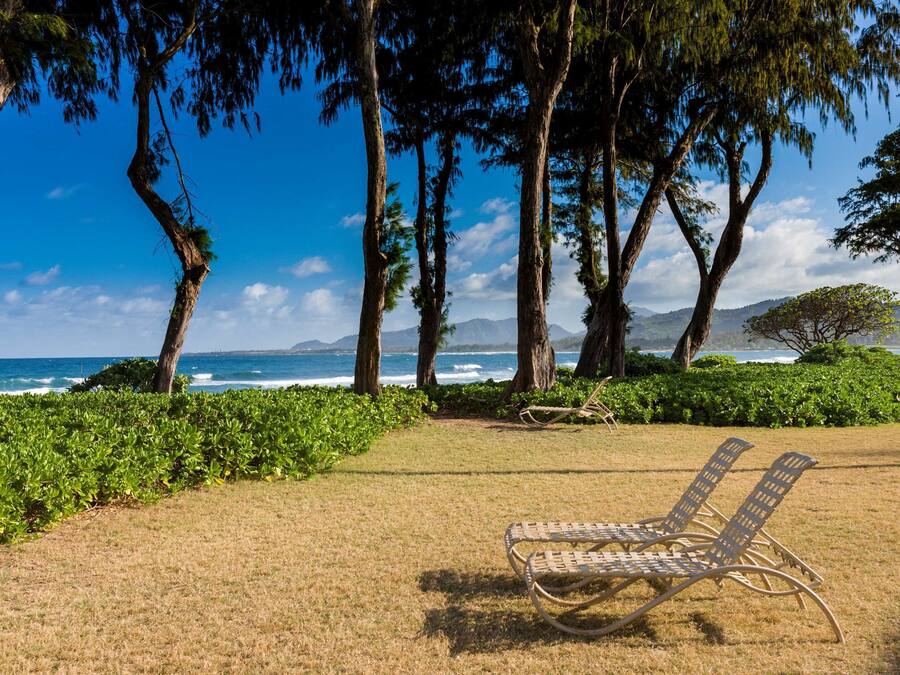 Una platja amb dues gandules, una vista clara de l'oceà i una filera d'arbres al fons.