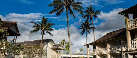 A resort with multiple-story buildings, palm trees, and well-maintained gardens.