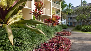 Un hotel de varios pisos, con un balcón en el segundo nivel y un jardín cuidado con plantas tropicales.