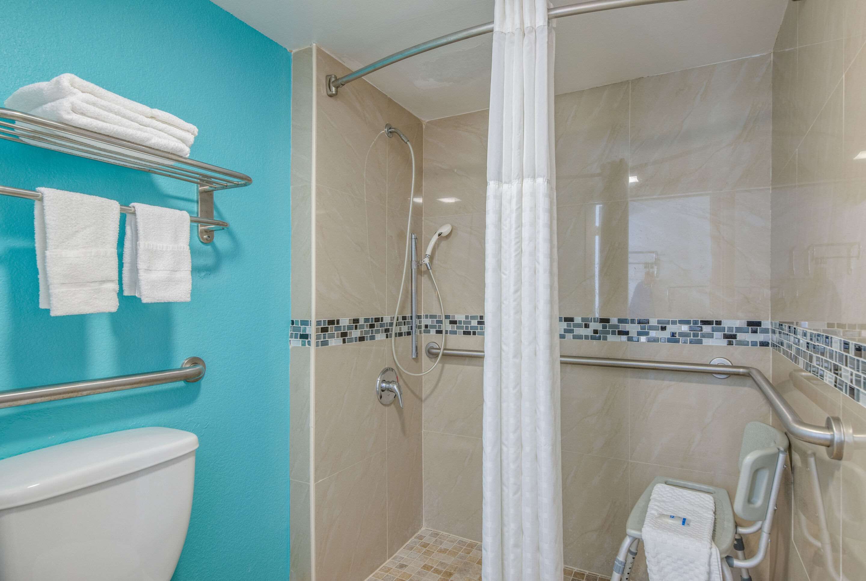 A bathroom with a toilet, a shower with a grab bar, and a wheelchair-accessible bench.