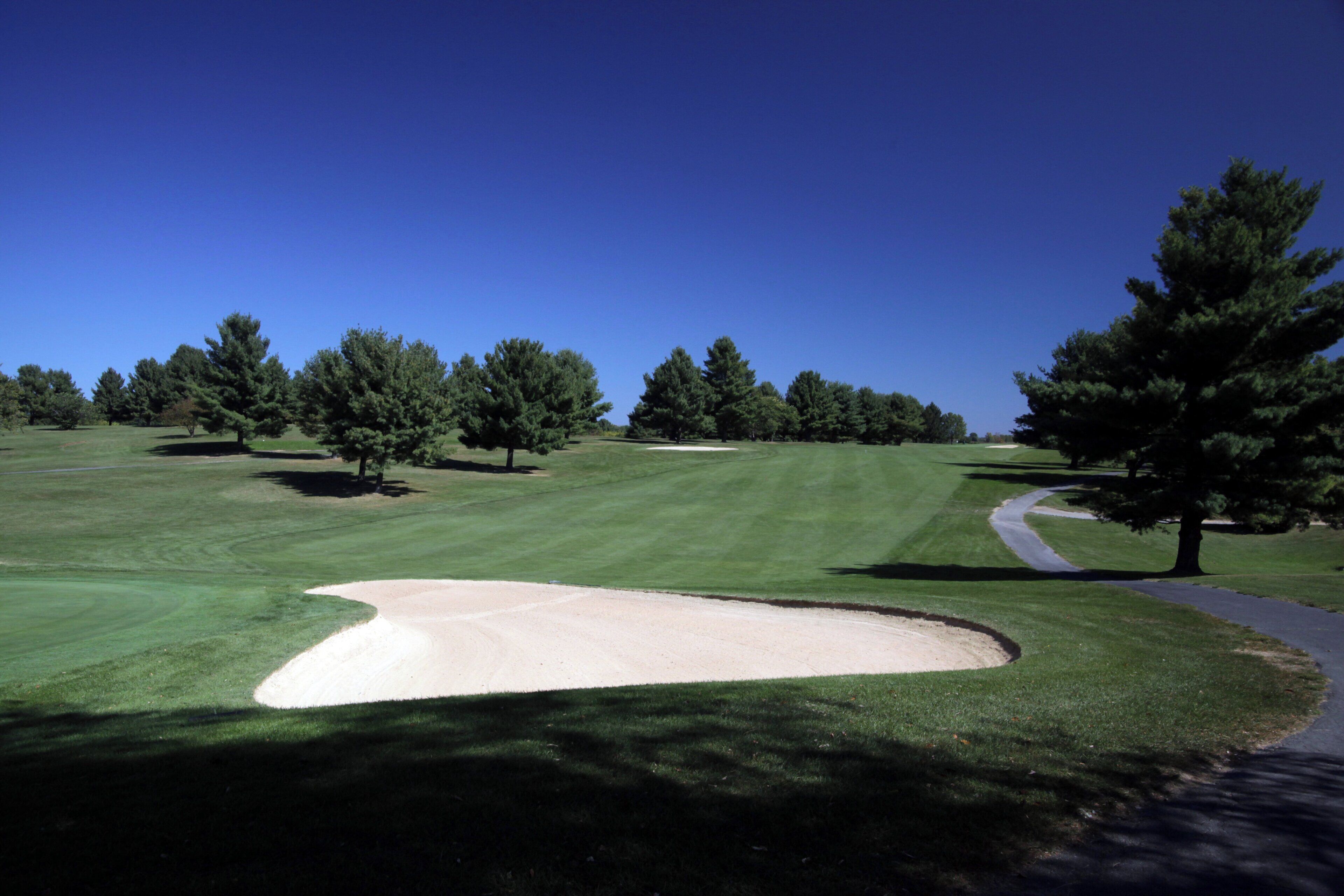 A golf course with sand bunkers, trees, and a clear sky.