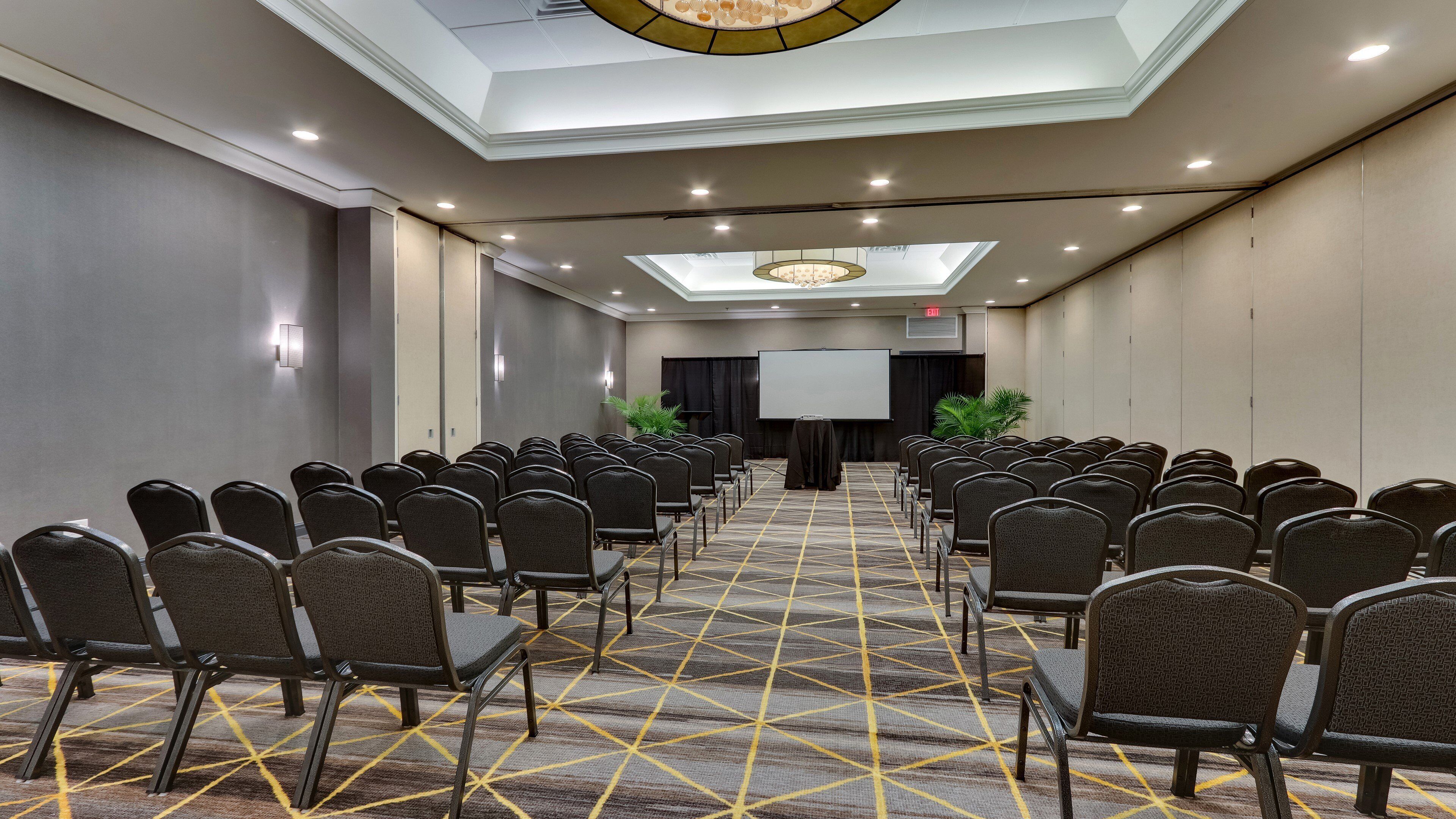A conference room with rows of chairs, a projector screen, and a patterned carpet.