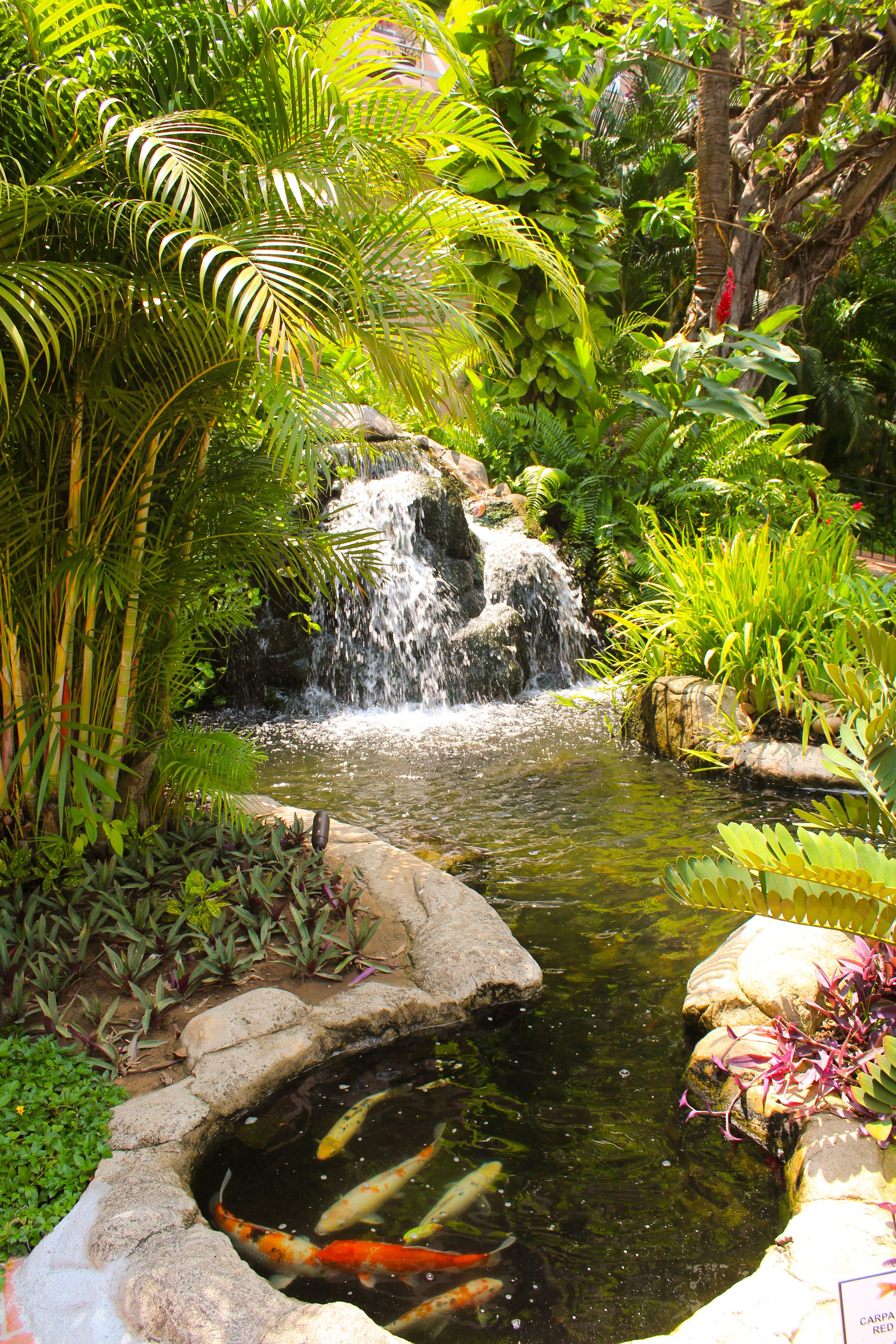 Photo - Fiesta Americana Puerto Vallarta All Inclusive & Spa