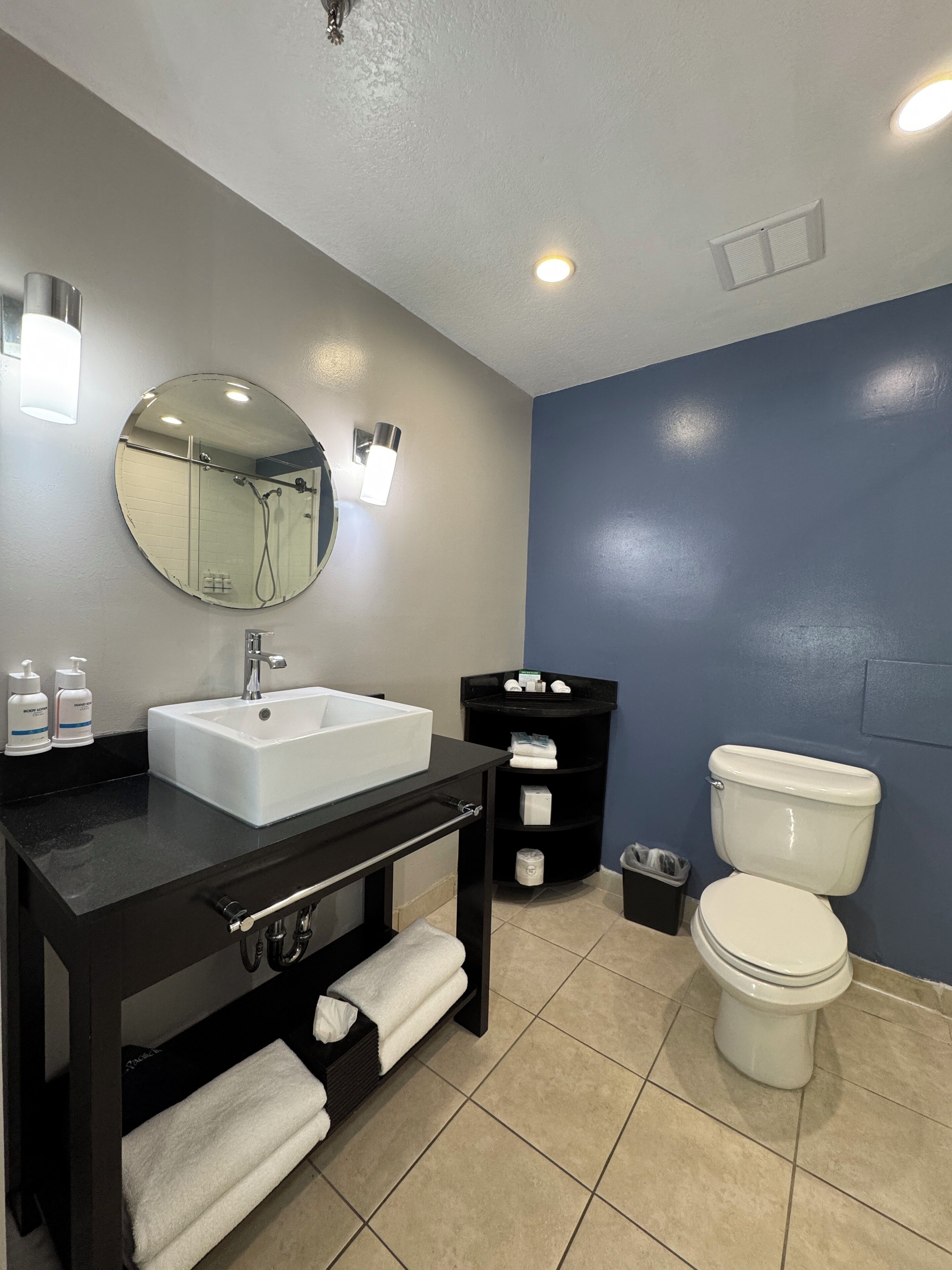 Une salle de bain moderne avec un lavabo blanc, un meuble-lavabo noir et des toilettes.