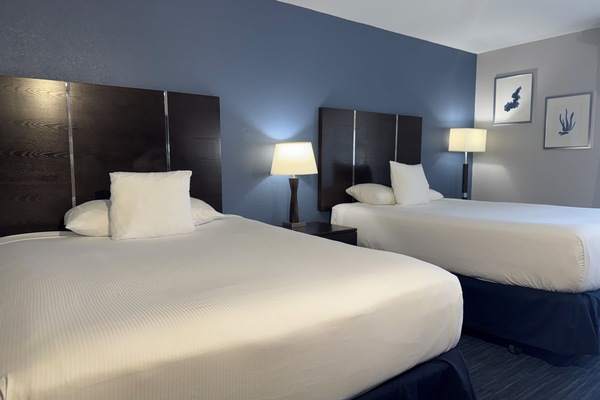 Hypo-allergenic bedding, in-room safe, desk, laptop workspace