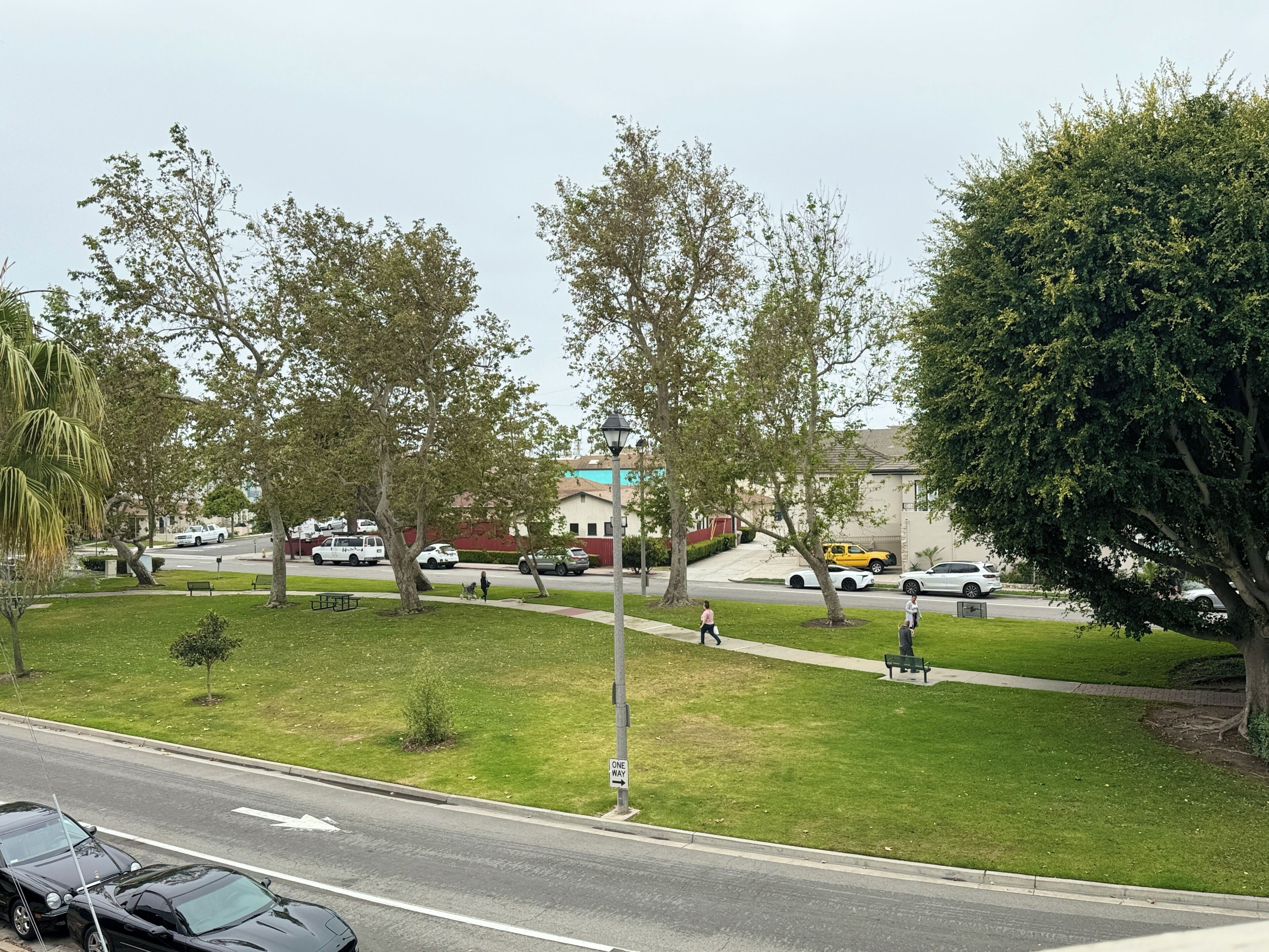 Straßenansicht mit Grünfläche, Bäumen und geparkten Autos.
