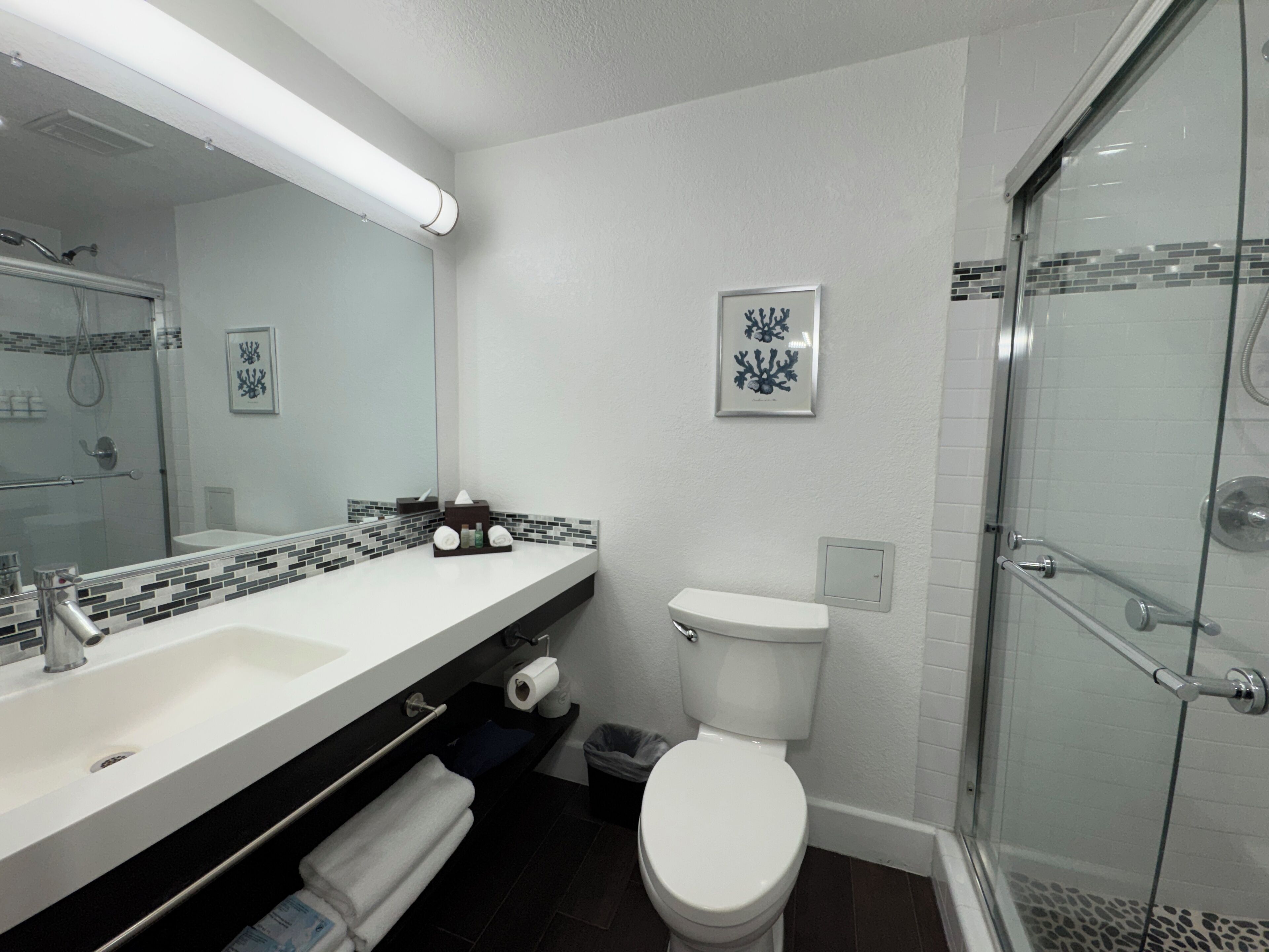 executive room, 1 king bed with sofa bed, balcony | bathroom | free toiletries, hair dryer, towels, soap