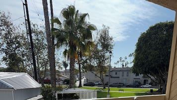 Executive Room, 1 King Bed with Sofa bed, Balcony | Terrace/patio